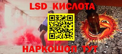 прущие грибы Шебекино