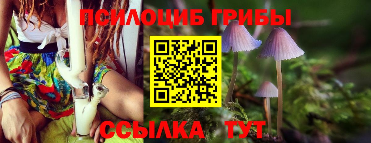 Галлюциногенные грибы мицелий  Вход с VPN  Якутск 
